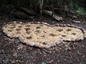 Cloud of watermelons