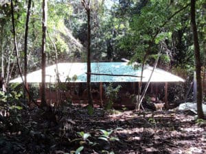 The shipibo Tambo, their home at TierraMItica is hidden in a beautiful spot in the jungle